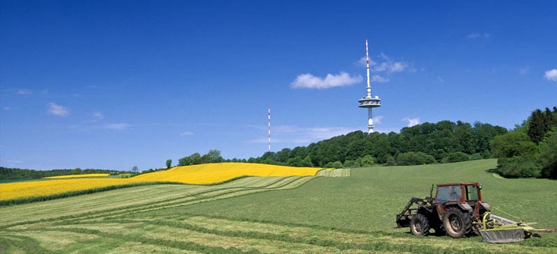 Immobilienmakler Schönwalde